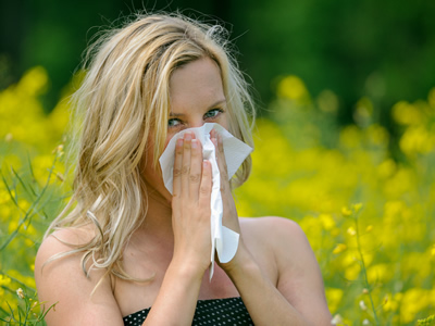 Allergien schlagen vor allem im Frühling zu