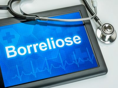 Tablet mit der Diagnose Borreliose auf dem Display, ein Stethoskop liegt auf dem Tisch