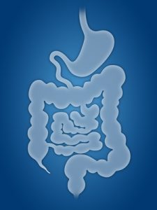 Illustration eines Magen-Darm-Trakts in Blauschattierungen