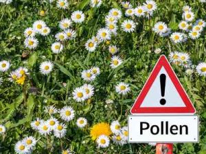 Pollenflug gibt es auch im Sommer.