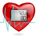 Herz mit idealem Blutdruck