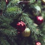 Tipps für Wahl des perfekten Weihnachtsbaum