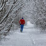 Joggen im verschneiten Winterwald